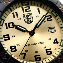 Cargar imagen en el visor de la galería, RELOJ PARA HOMBRE LUMINOX LEATHERBACK XS.0325.GP - GRIS